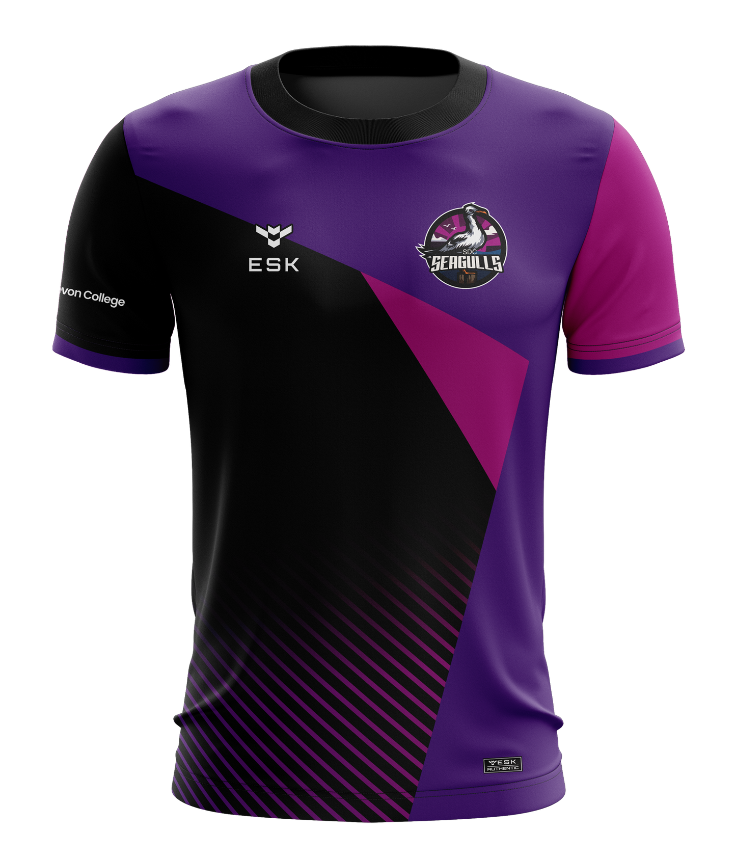 SDC Seagulls Esports Jersey