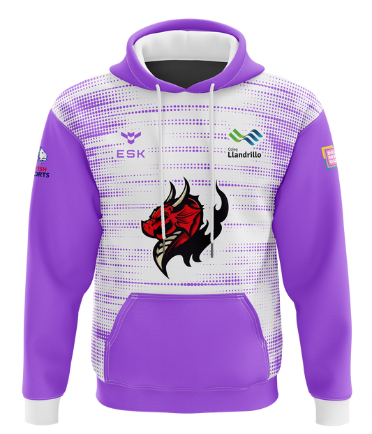 Llandrillo Dragons The Fae's Esports Hoodie