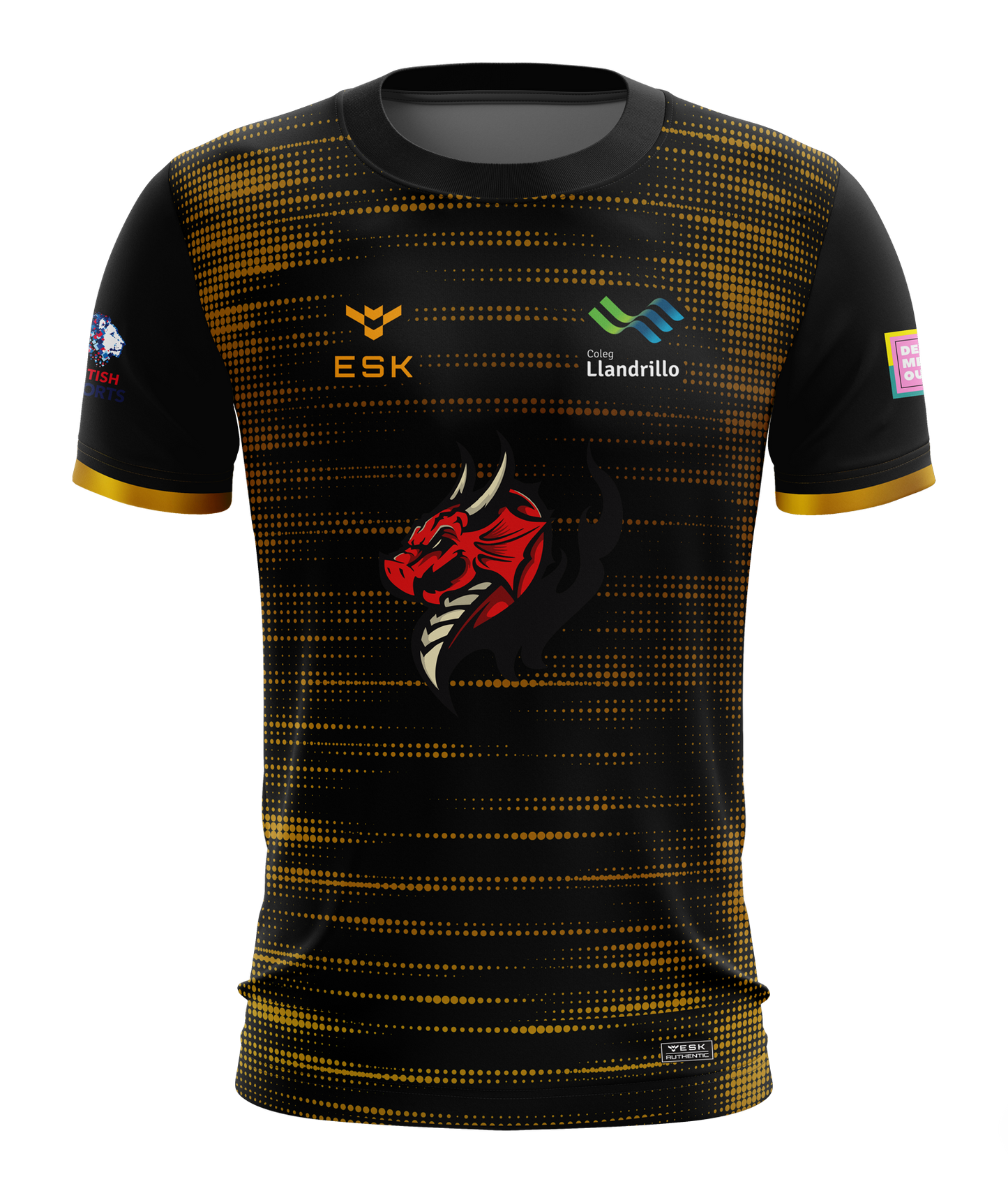 Llandrillo Dragons Staff Esports Jersey